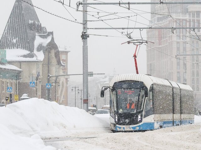    Фото: Агентство ''Москва''/Ярослав Чингаев