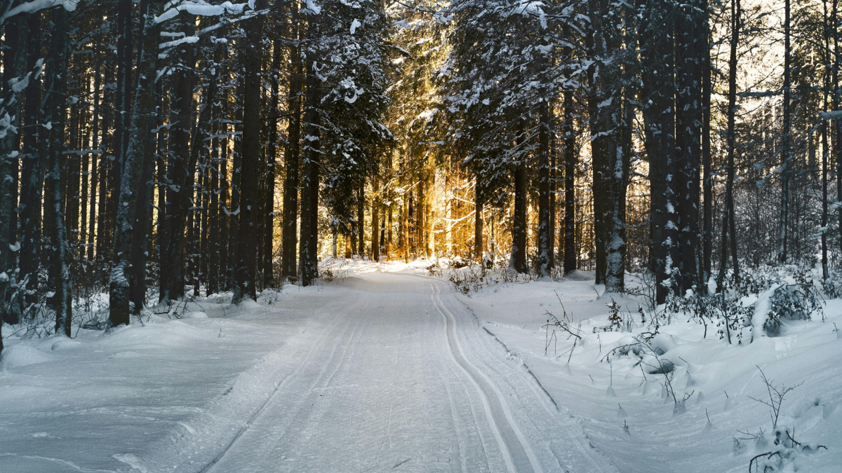 Холод сжимает пространство жизни