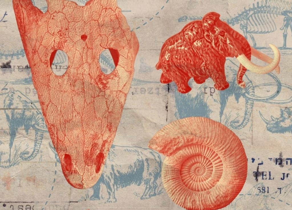    Фото Минкульта Самарской области