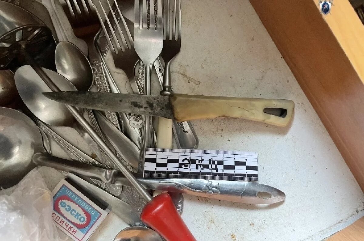    В Хабаровске женщина напала на мужа с ножом и чудом не убила его