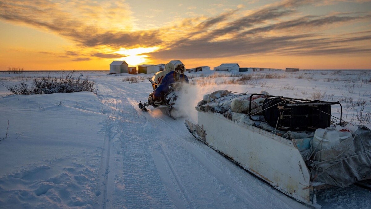    Фото: Федор Воронов/«Ямал-Медиа»