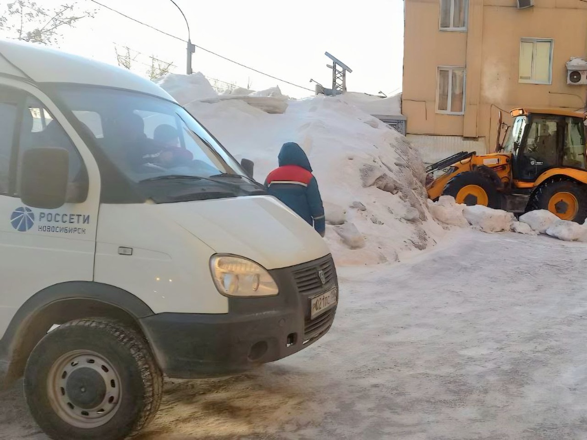    Фото: Россети Новосибирск