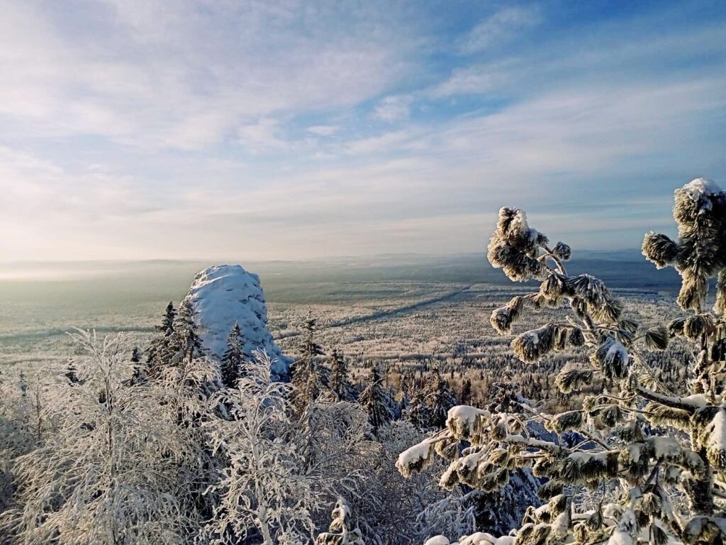    Фото: В курсе.ру