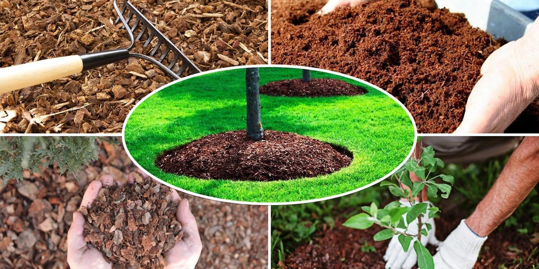 5 мифов об органических удобрениях, в которые верят даже опытные дачники