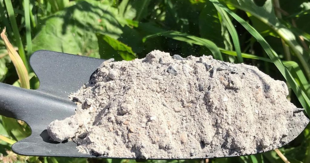 Компост, зола или биогумус — что реально даёт результат? Честное сравнение