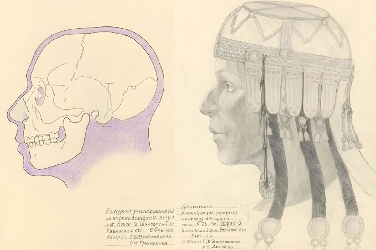    Графическая реконструкция по черепу женщины из могильника Борок 2.