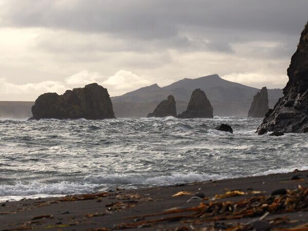    © РИА Новости Стрингер