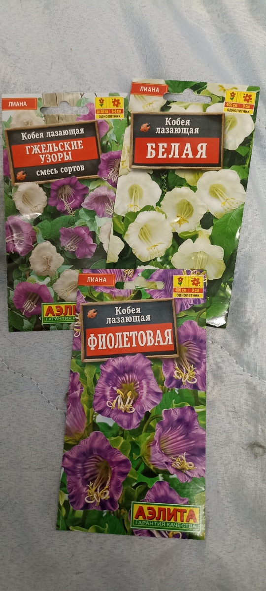 Мама очень любит вот такие лианы из Кобеи. 