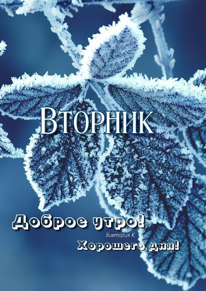 Фото из открытых источников. 