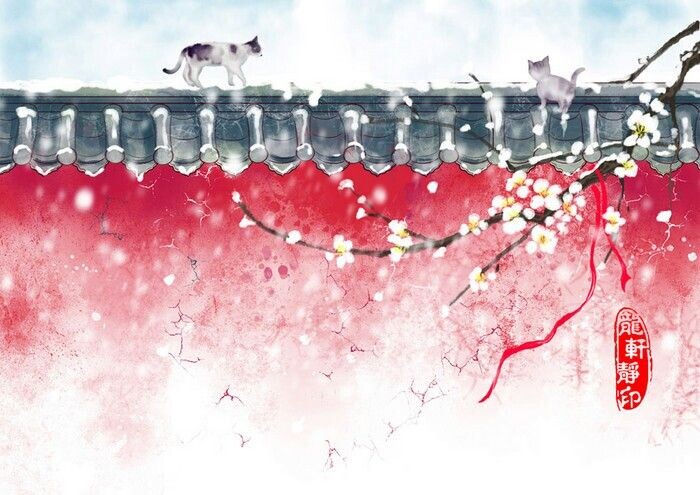 Фото из открытых источников.