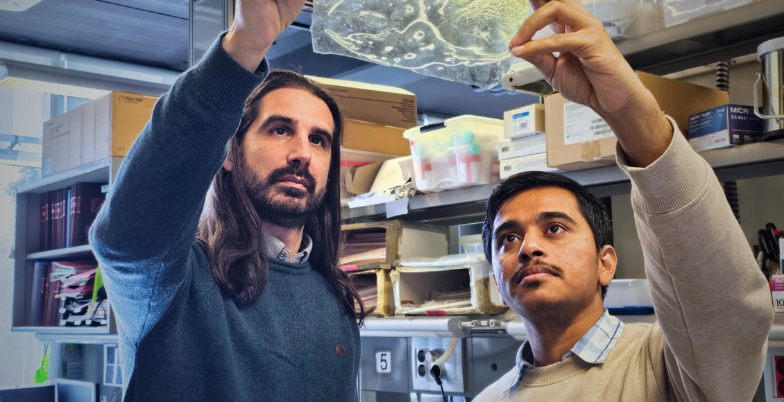    Фото: Институт биоинженерии Каталонии (IBEC)