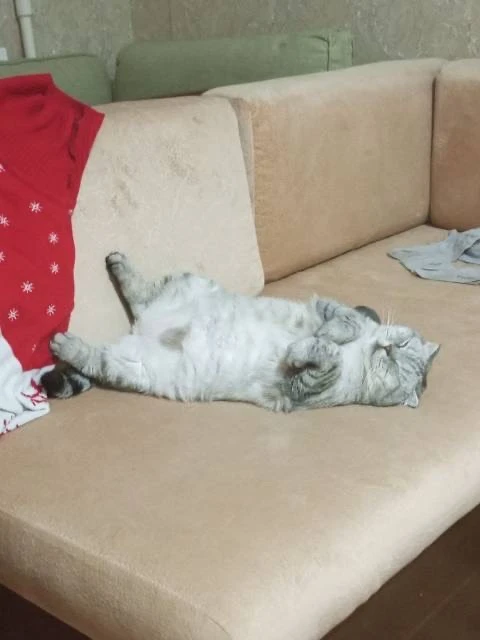 Какая же она милая...