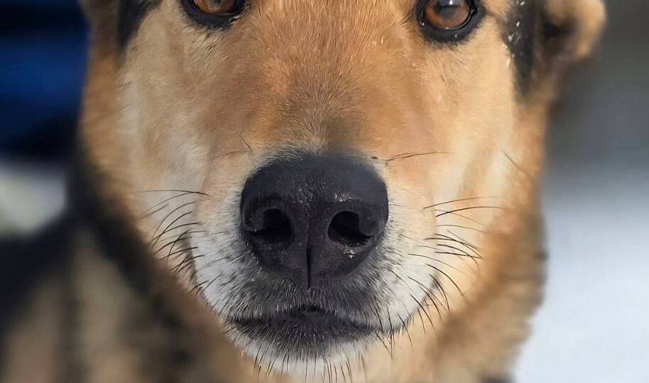 Марк - нежный мальчик 🥰