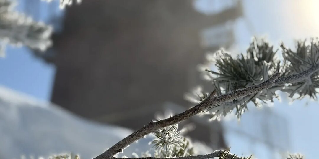 Морозный тур выходного дня