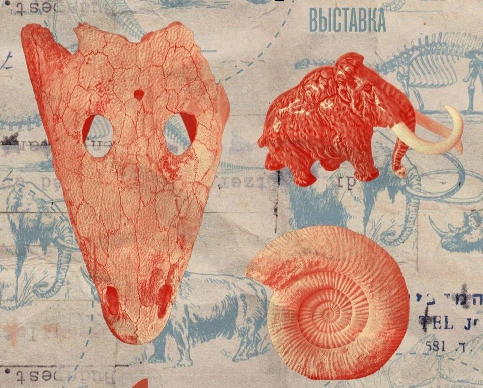    В самарском музее имени Алабина 26 февраля открывается выставка «Палеоцентр». Фото: Минкульт Самарской области