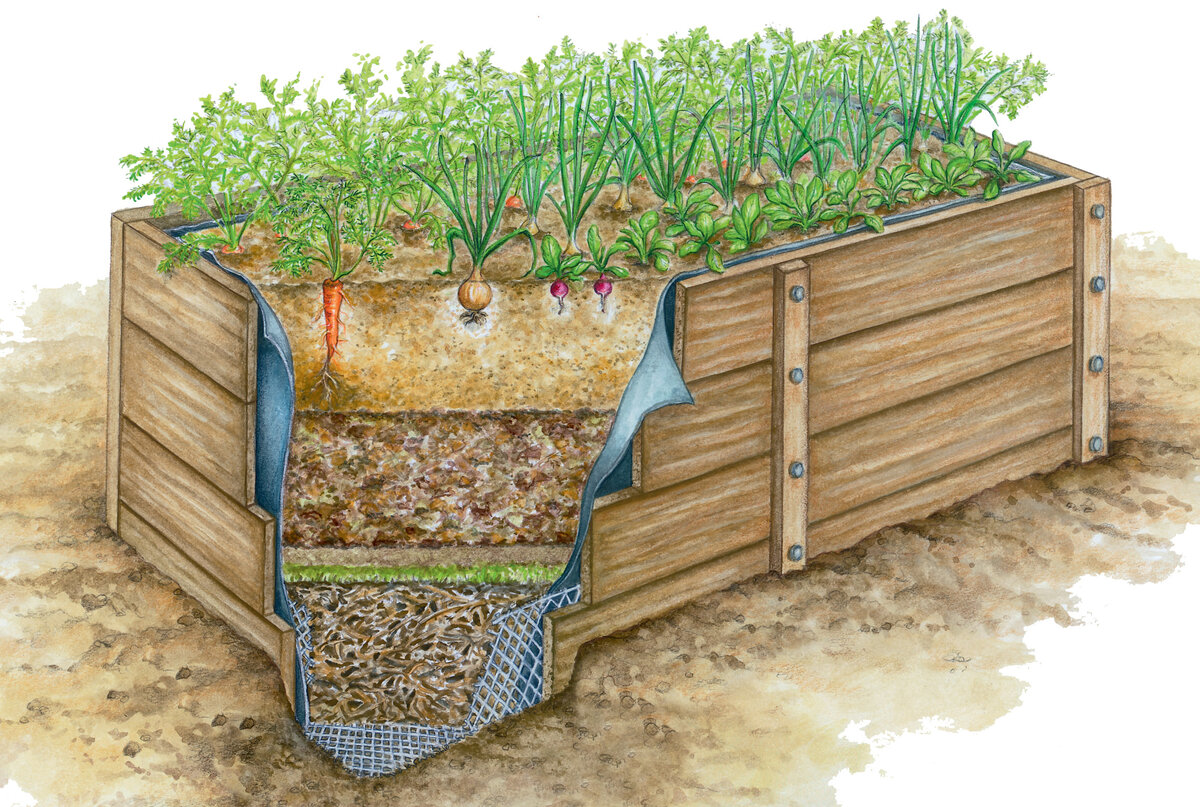 Яндекс. Картинки