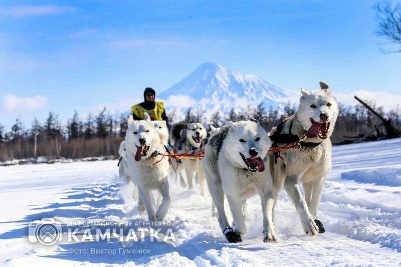 Фото Виктора Гуменюка / ИА «Камчатка» (архив)