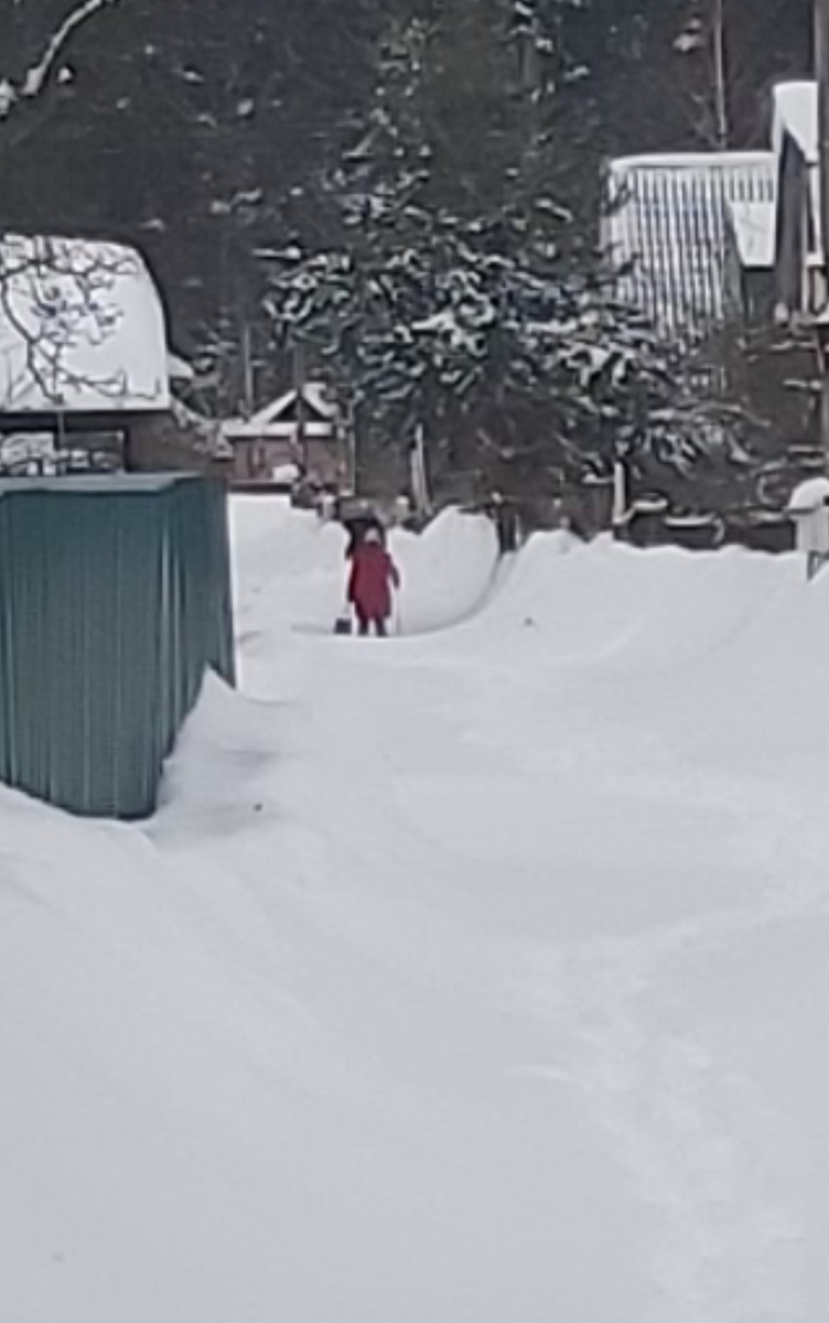 Вот она герой-первопроходец,  идет как крейсер по сугробам, благо ее сосед расчистил ей проход во двор, тоже приезжал котов кормить...