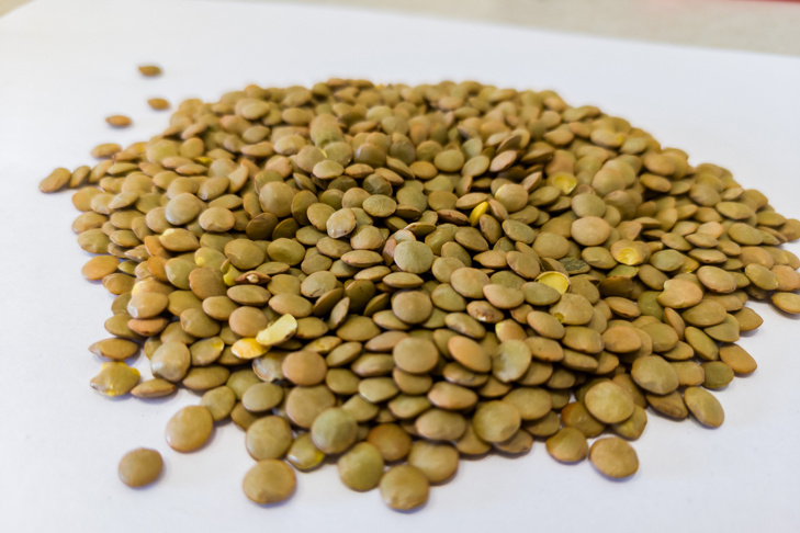    Фото Андрея Заржецкого