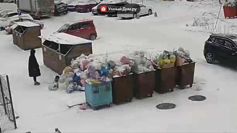     Баки с мусором на ул. Пролетарская, 160. Дом.ру