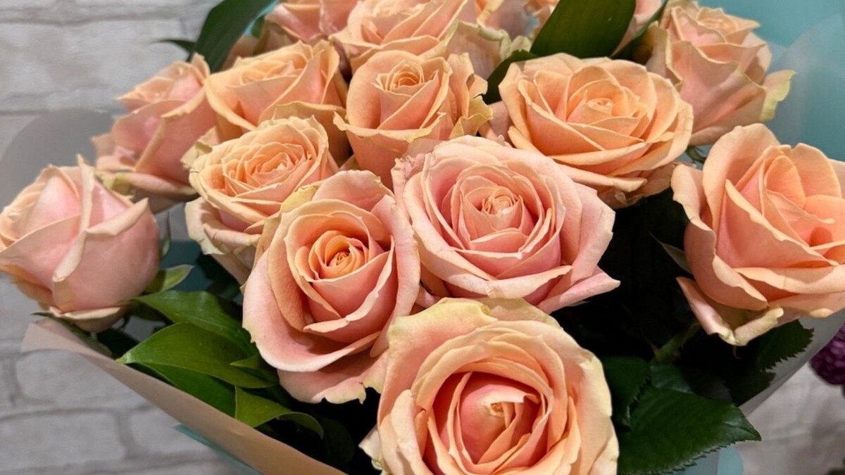    Фото: телеканал «Краснодар»