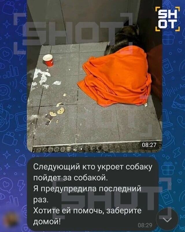   Telegram-канал SHOT