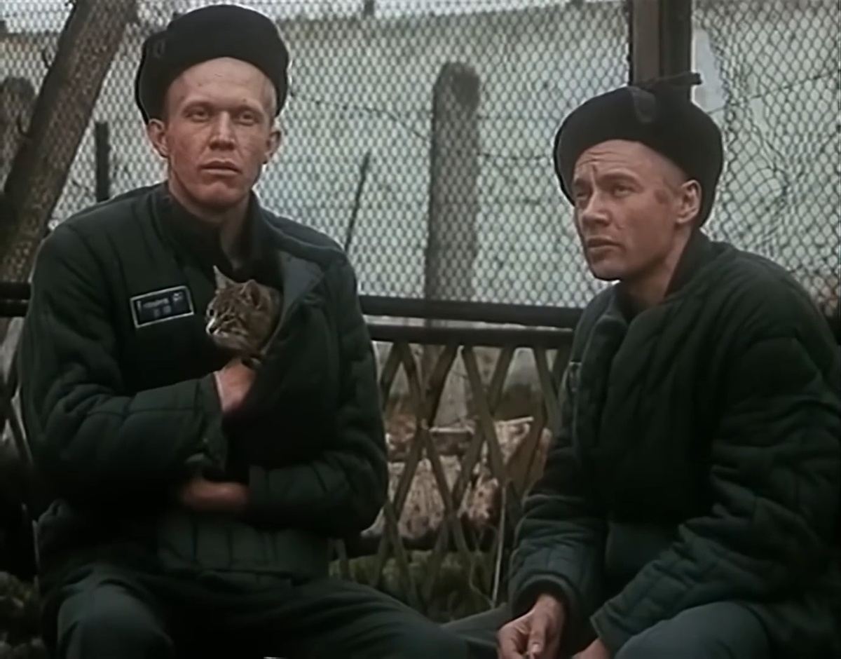 Миукатель. Зэки предпочитают котиков, поскольку собаки на службе конвоя. 