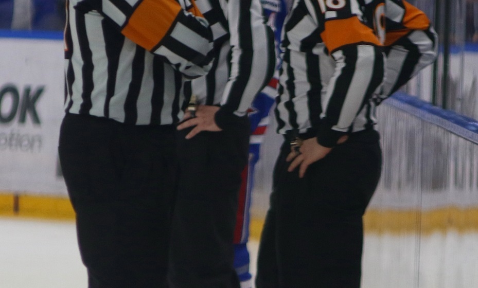    ФХР отстранила судей за аморальное поведение после матча ВХЛ. Фото: Global Look Press