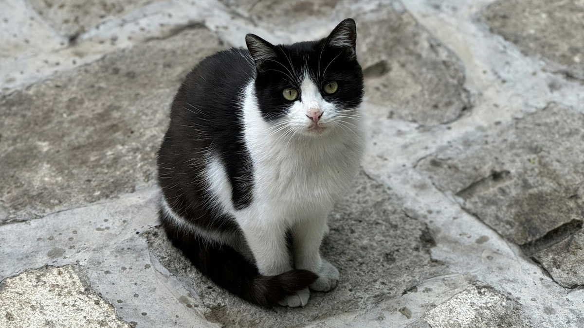    Фото несет иллюстративный характер