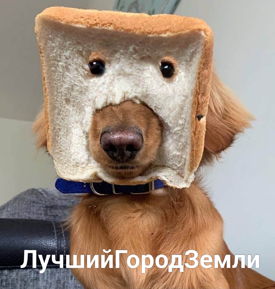 Иллюстрация автора