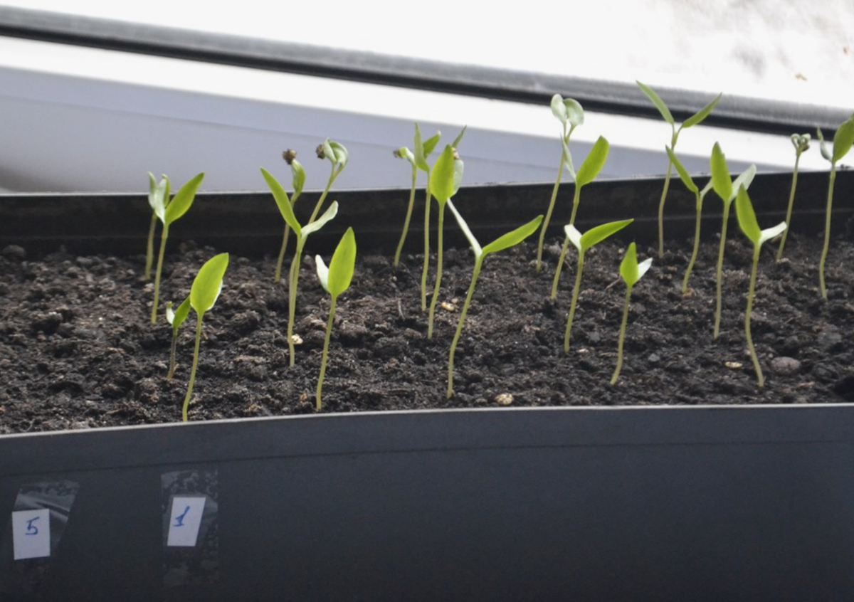 Источник фото: asienda.ru