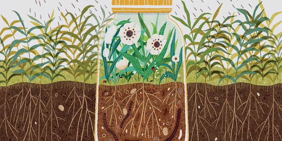 Почему я больше никогда не использую минеральные удобрения (и вам не советую)