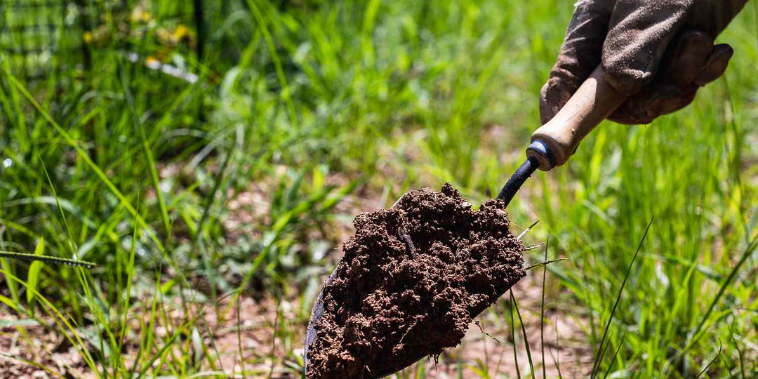 Огород без химии: правда, о которой не пишут на упаковках удобрений