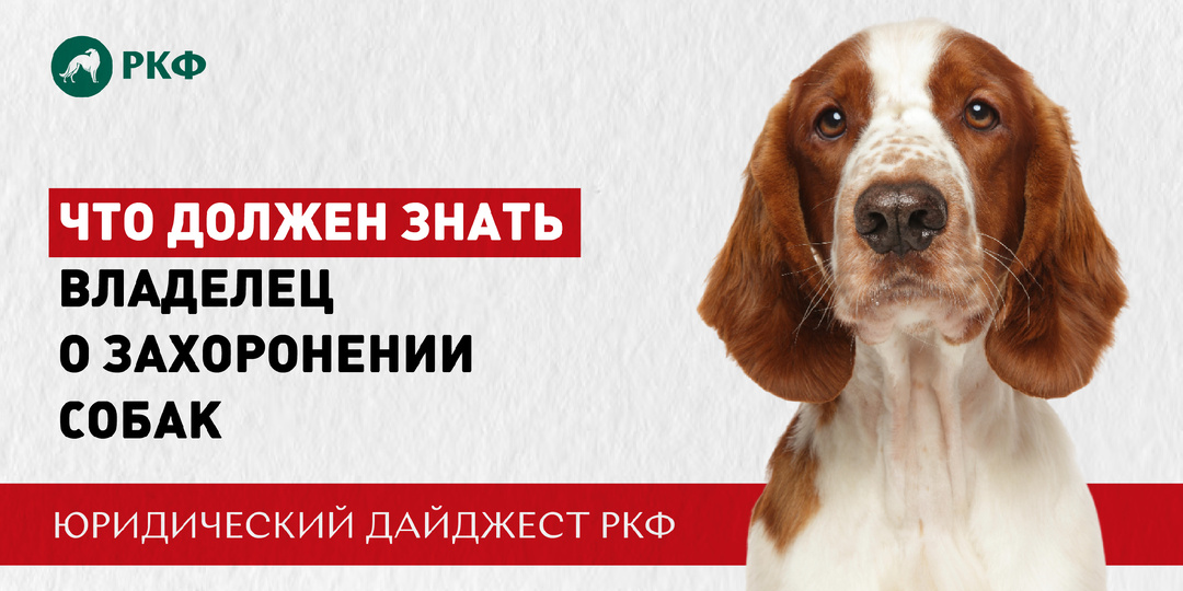 Что говорит закон о захоронении собак