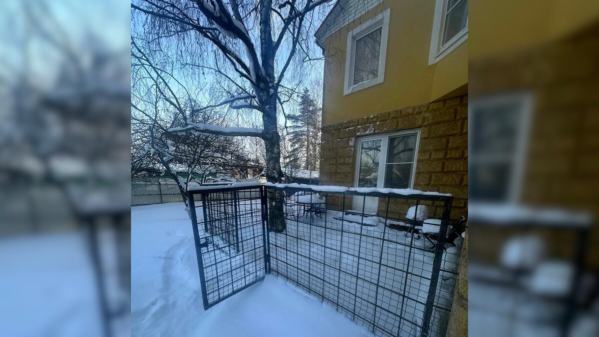    Фото: t.me/procspb