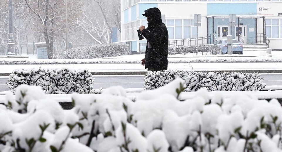    РИА «Новости»