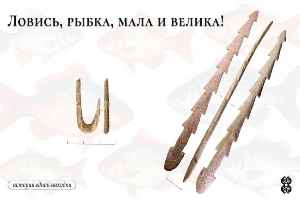    Фото: vk.com/sfu_archeology