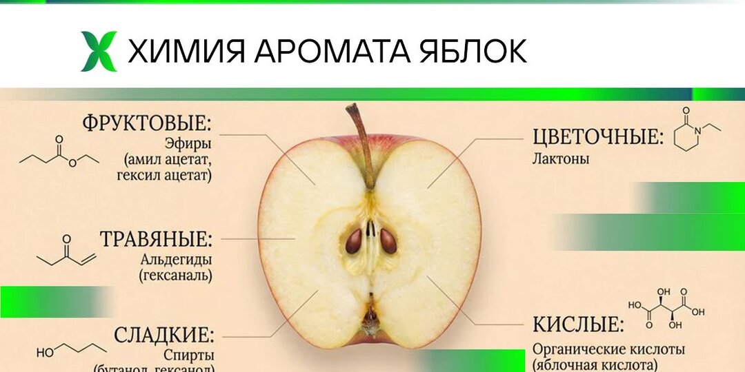 Химия аромата яблок