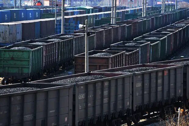    Фото: lenta.ru Григорий Шевелев