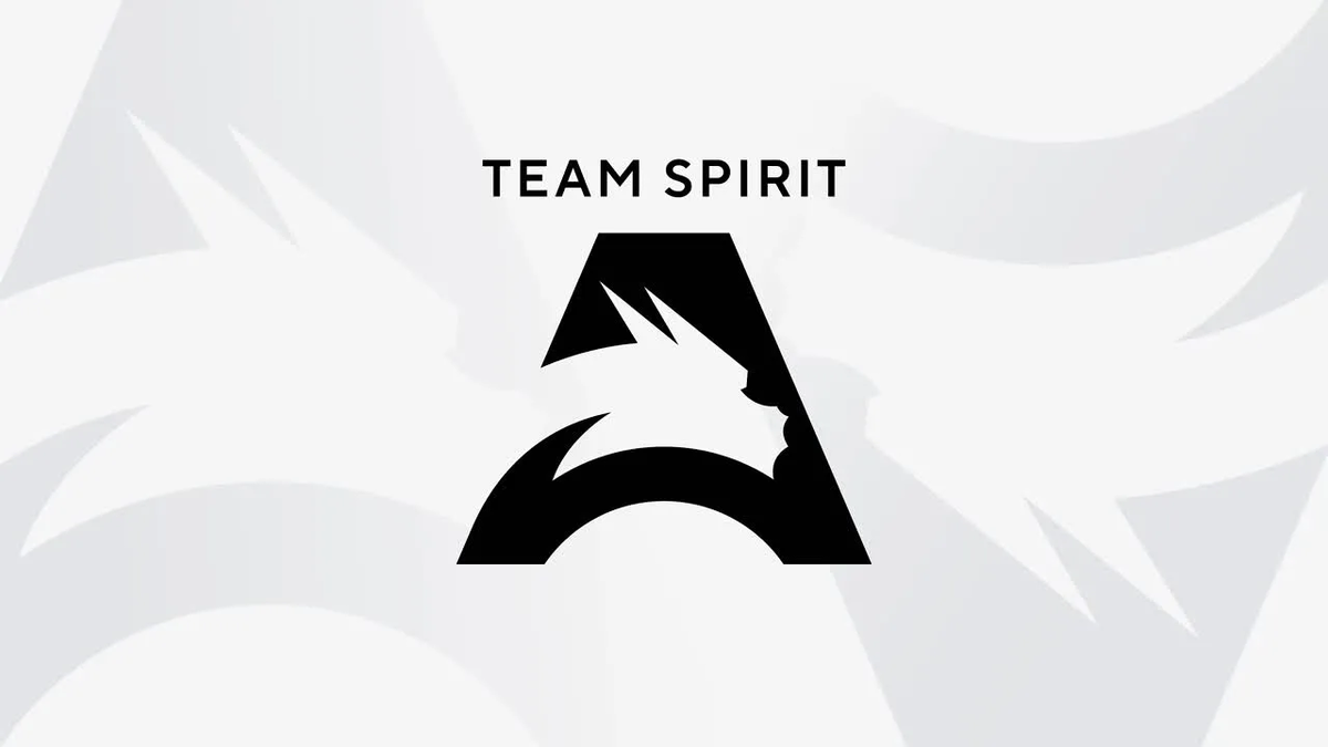 Источник: официальный сайт Team Spirit