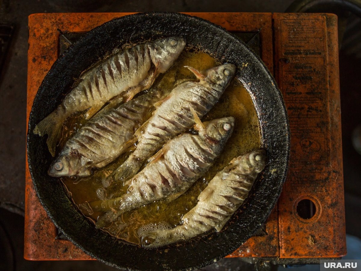     Тюменский профессор объяснила, почему потрошение рыбы не спасет от червей