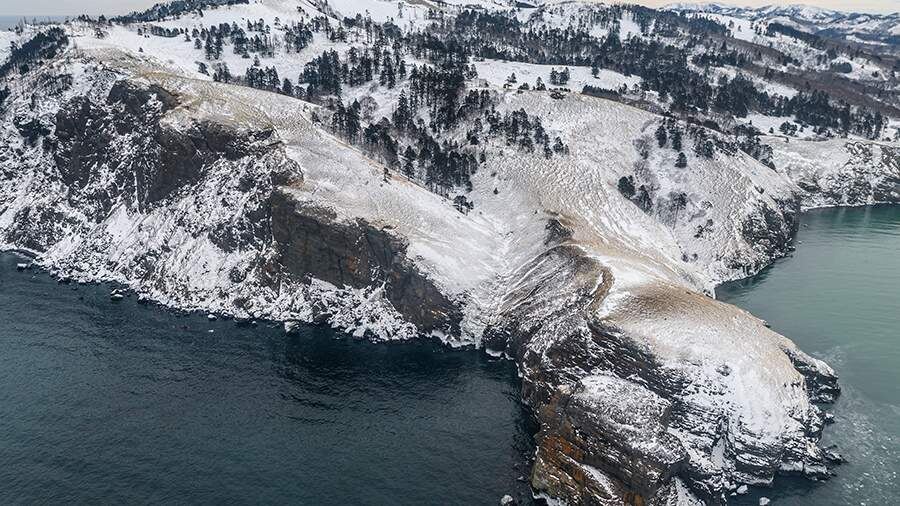    Фото: РИА Новости/Сергей Красноухов