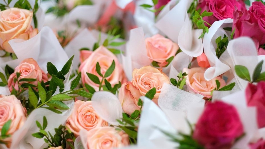    Автор фото: Беликов Валентин