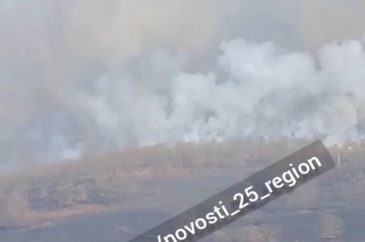    В Приморье в Хасанском округе горит сухая растительность