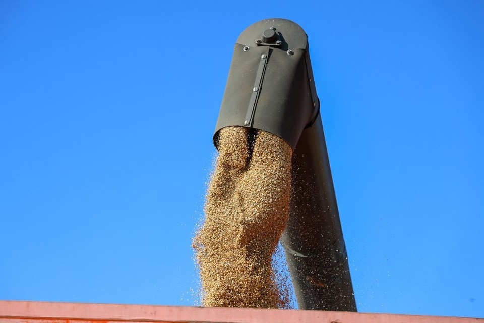    Из-за отсутствия проверки на пестициды Мария ЛЕНЦ