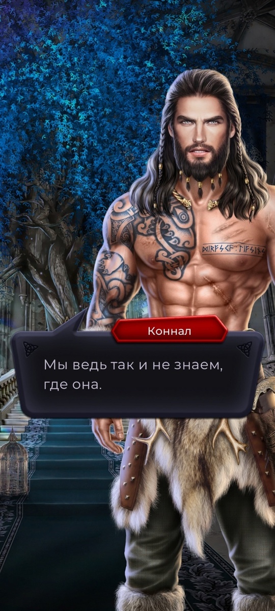 Интрижек наша героиня может завести несколько, но основными любовными интересами, сопровождающими нас большую часть пути являются Коннал, Амергин и Оберрон. Есть еще Броуддика и Логайр, но к ним у меня просто нет интереса
