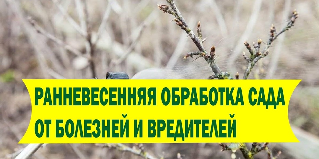 Самые первые, мартовские обработки сада, дозировки и препараты