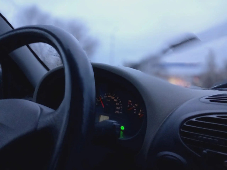     Фото: Наталья Балаболкина