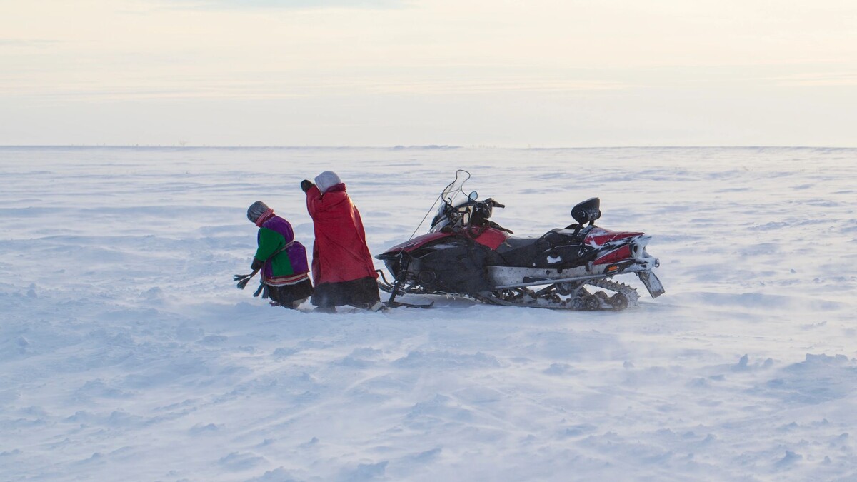    Фото: evgenii mitroshin / Shutterstock / Fotodom