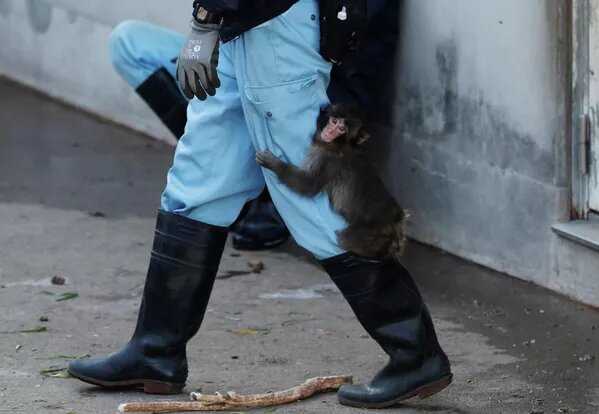 © REUTERS Kim Kyung-Hoon